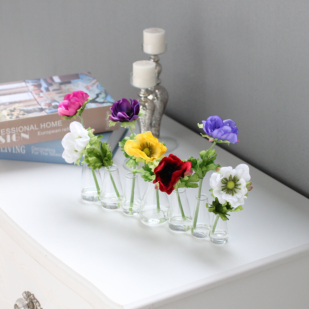 カラフルアネモネ